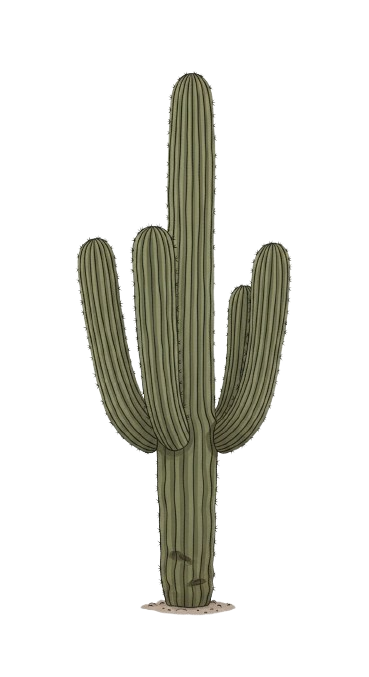 Cactus Learning Logo